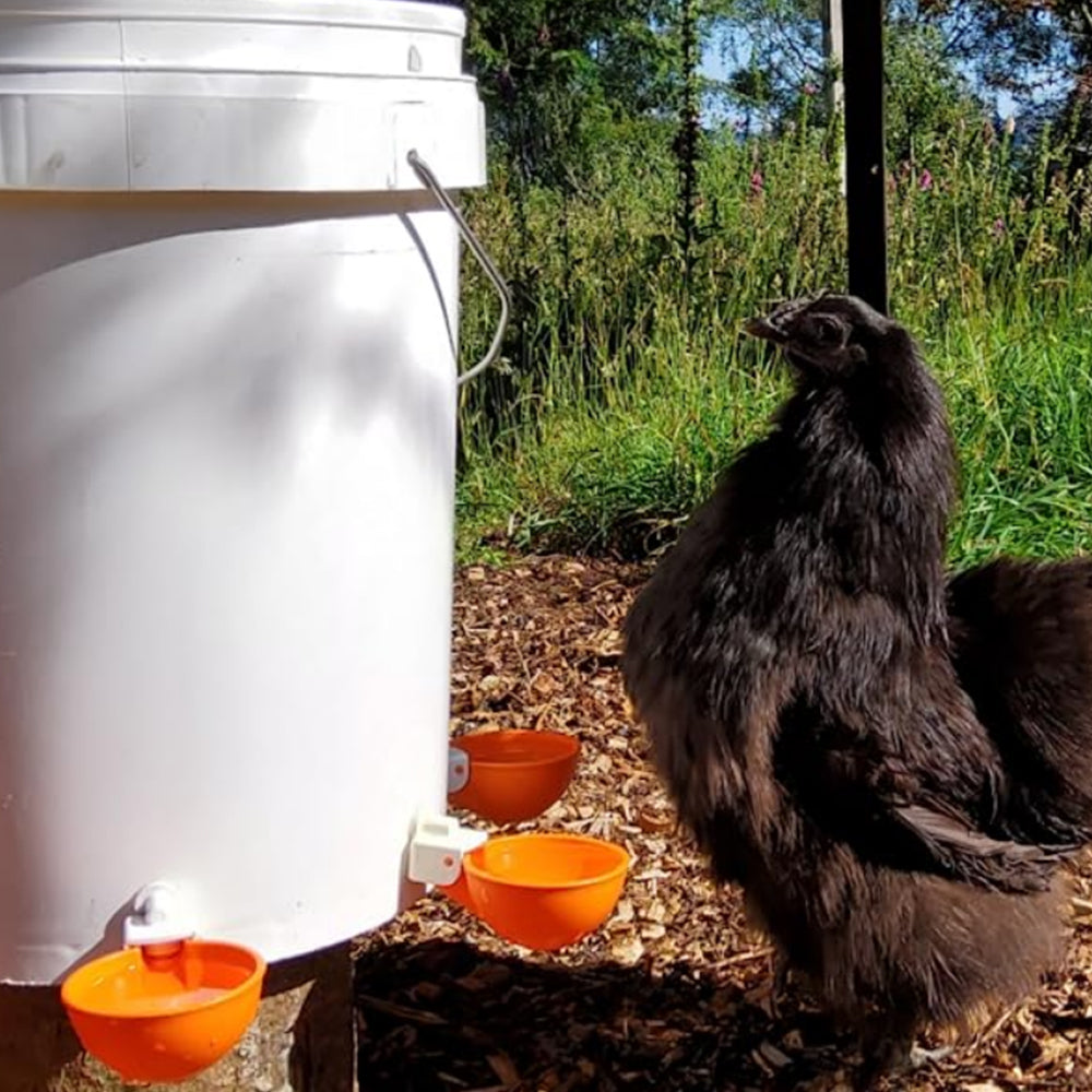 5Pcs Automatic Chicken Drinking Bowl Feeder