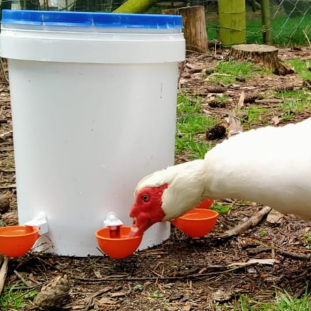 10Pcs Automatic Chicken Drinking Bowl Feeder