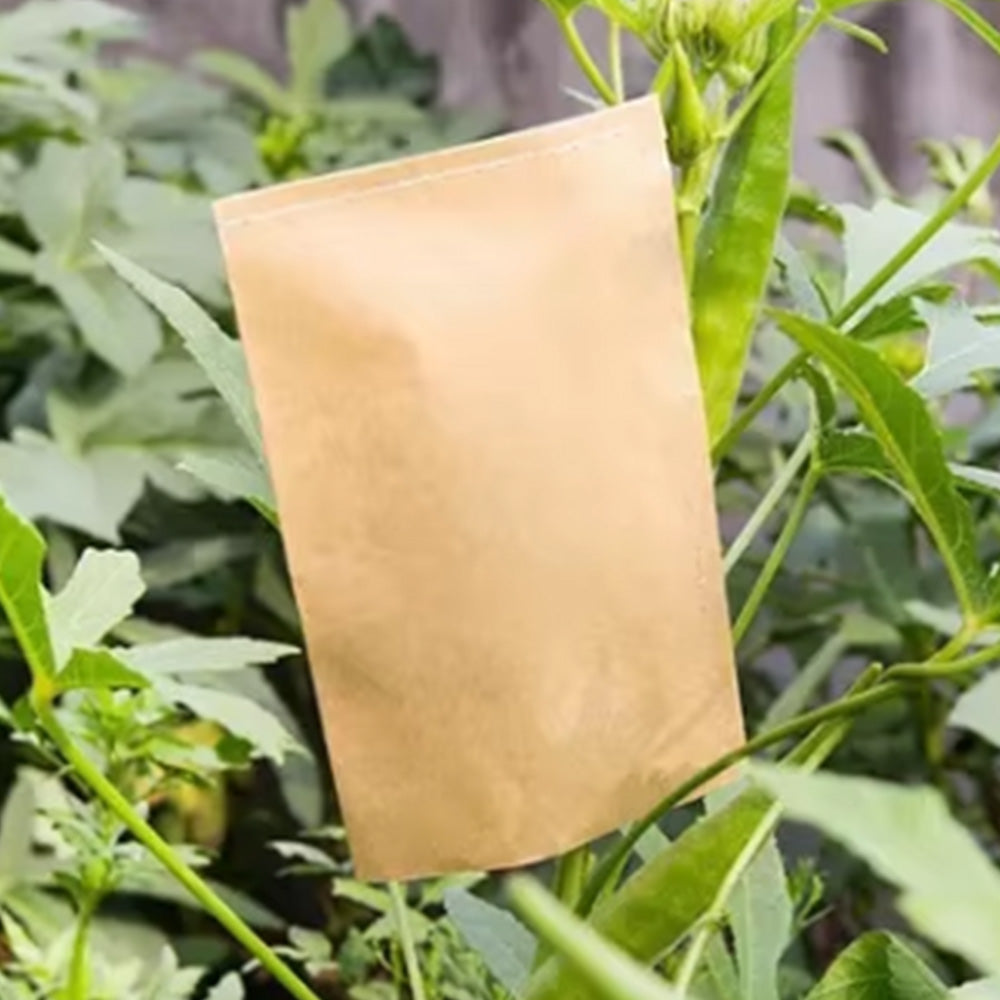 100Pcs Coin Kraft Envelopes 6x11cm Small Seed Envelopes for Office Home Garden