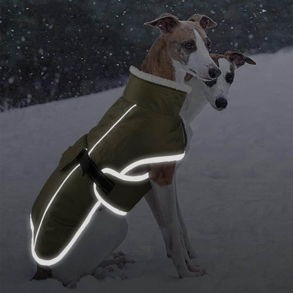 Winter Dog Coat-Waterproof Cold Weather Jacket for Small Large Breeds-Green