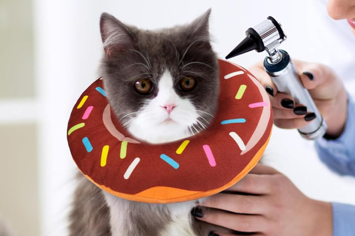 Cat Cone Soft Collar Adjustable Kitten Recovery Cones Cat Donut Collar-Dark Brown