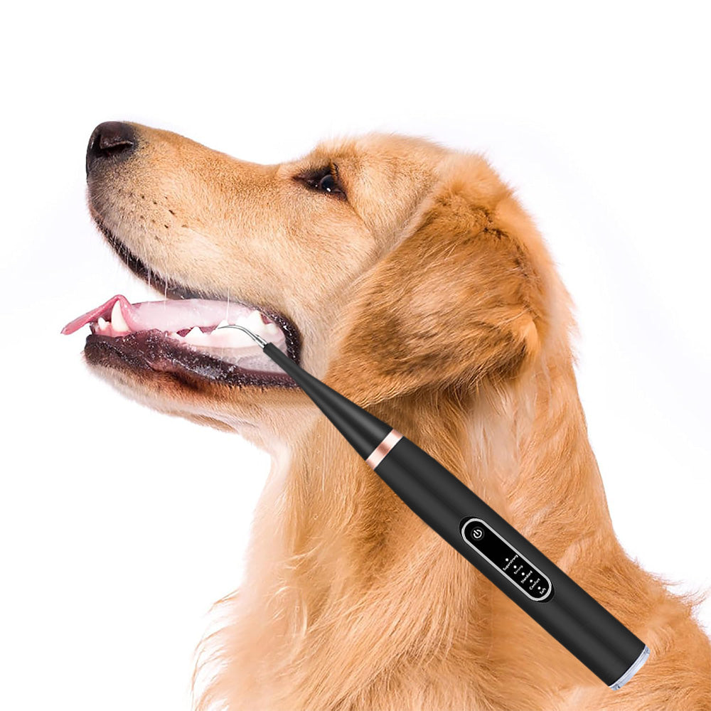 Dog Plaque And Tartar Remover Electric Dogs Teeth Cleaning Kit Ultrasonic Pet Teeth Cleaner
