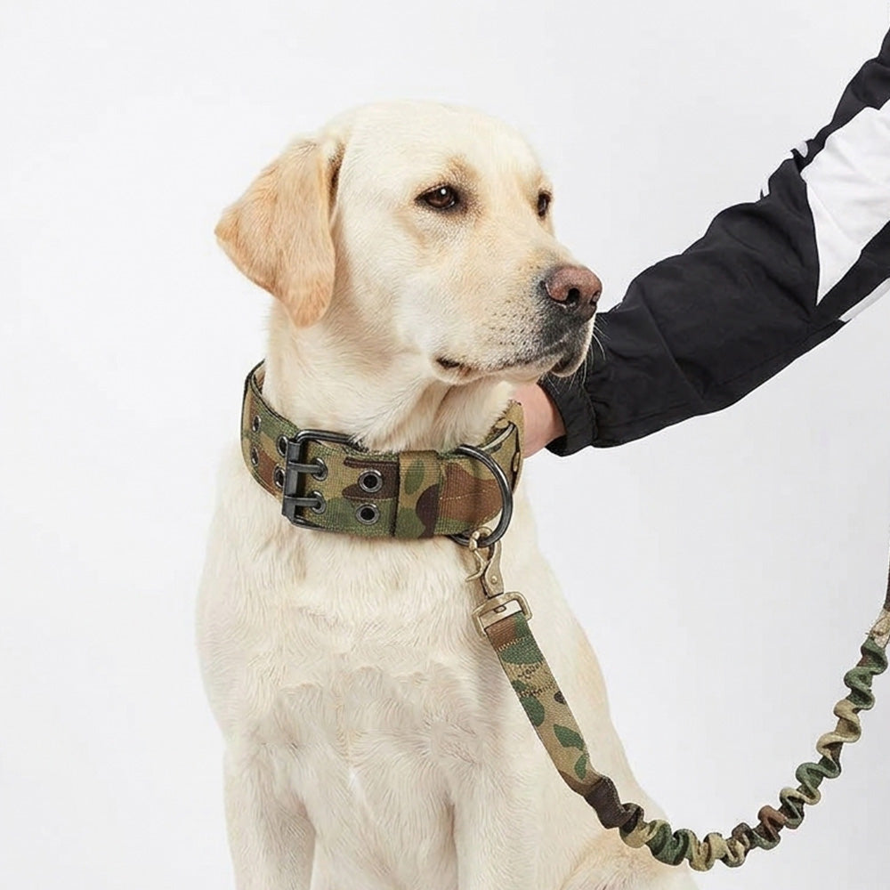 Adjustable Padded Nylon Dog Collar and Leash Set for Large Dogs-Green