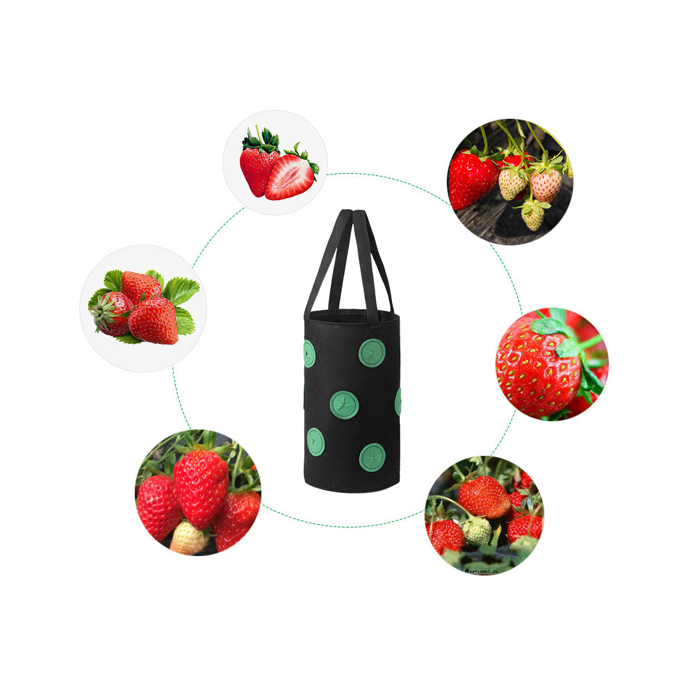3 Gallon Grow Bag for Strawberry Vegetables with 12 Planting Holes