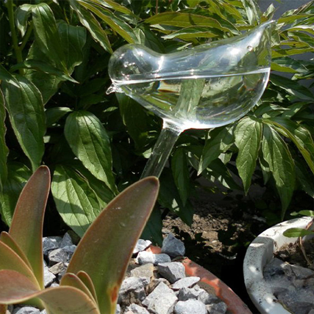 Star Shaped Self Watering Plant Spikes Automatic Watering Stakes for Succulents