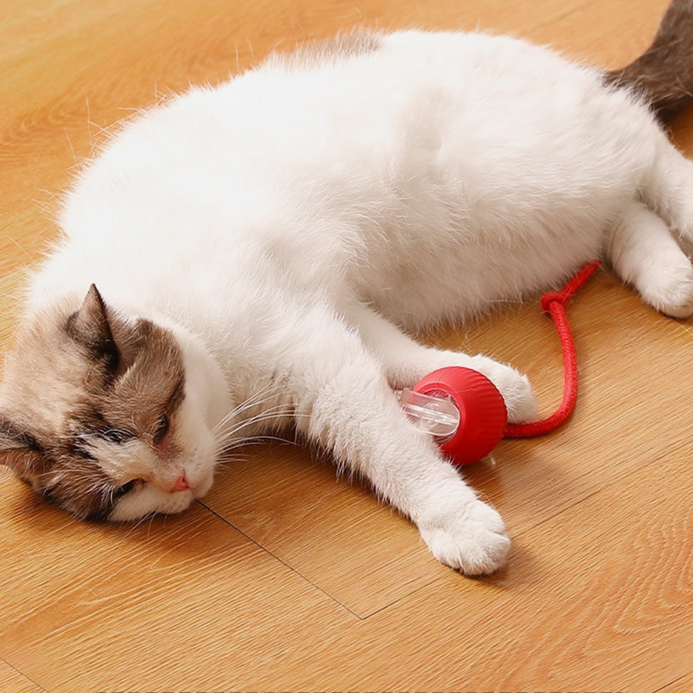 Interactive Cat Rolling Ball Automatic Cat Toy Electric Cat Toy Ball Fast Rolling On Toys