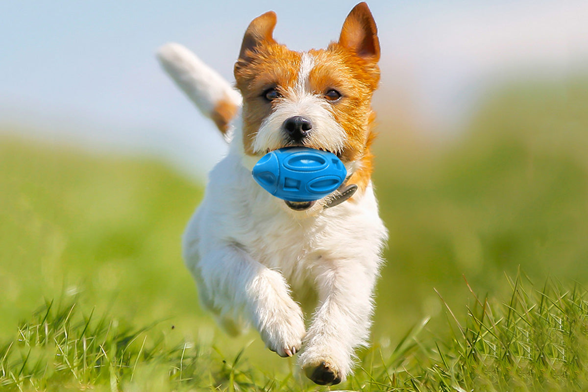 Puppy Chew Ball With Squeaker Dog Chew Toys Squeaky Dog Toys For Aggressive Chewers