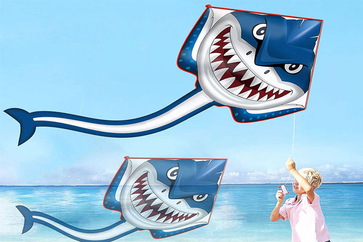 Huge Delta Kite For Kids Beginners Single Line With Tail Beach Kite
