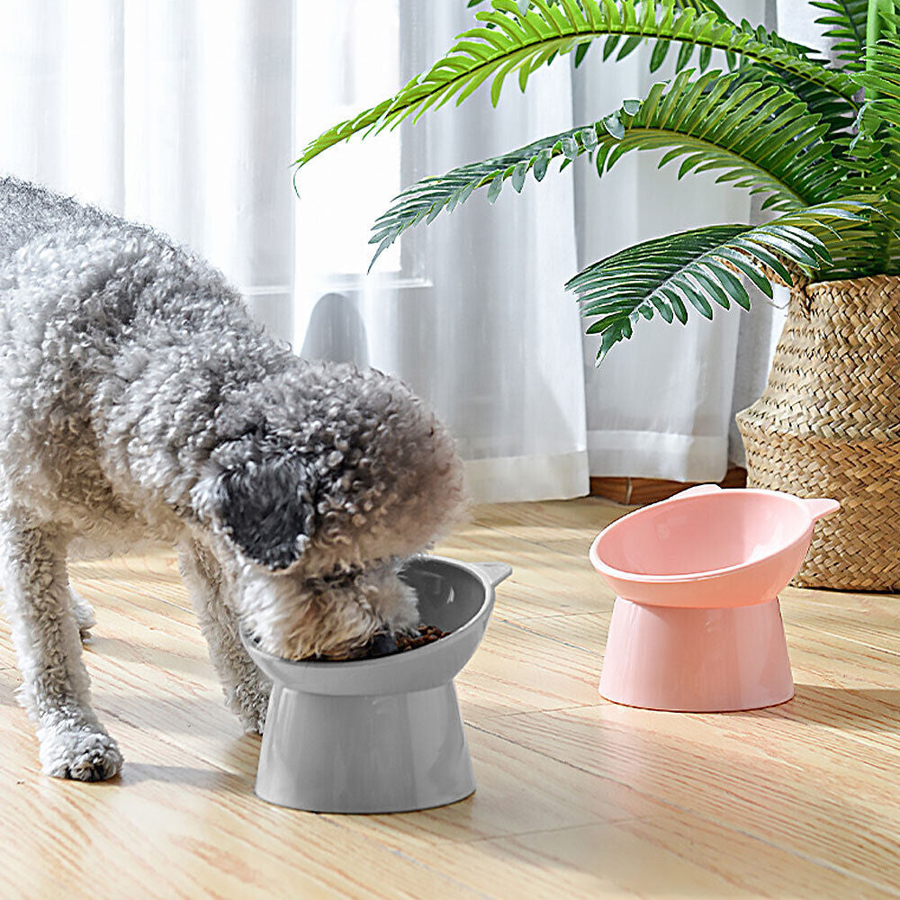 2Pcs Elevated Cat Dog Pet Bowl Feeder-Grey+Green