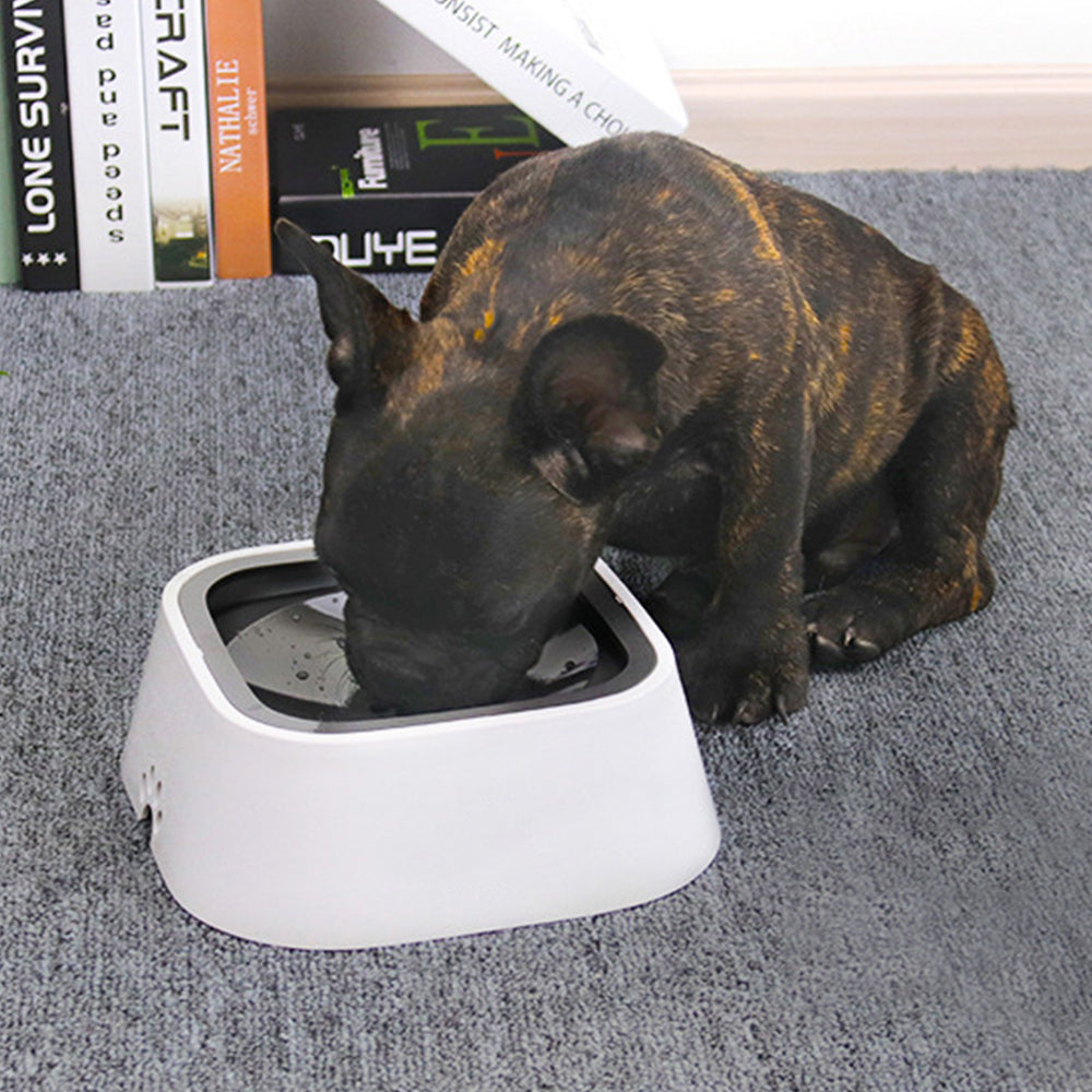 1.5L Pet No-Spill Water Bowl