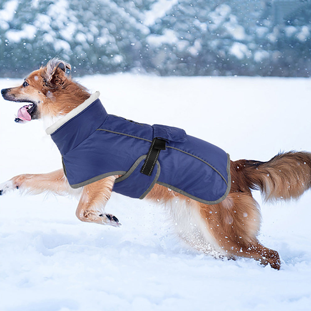 Winter Dog Coat-Waterproof Cold Weather Jacket for Small Large Breeds-Navy
