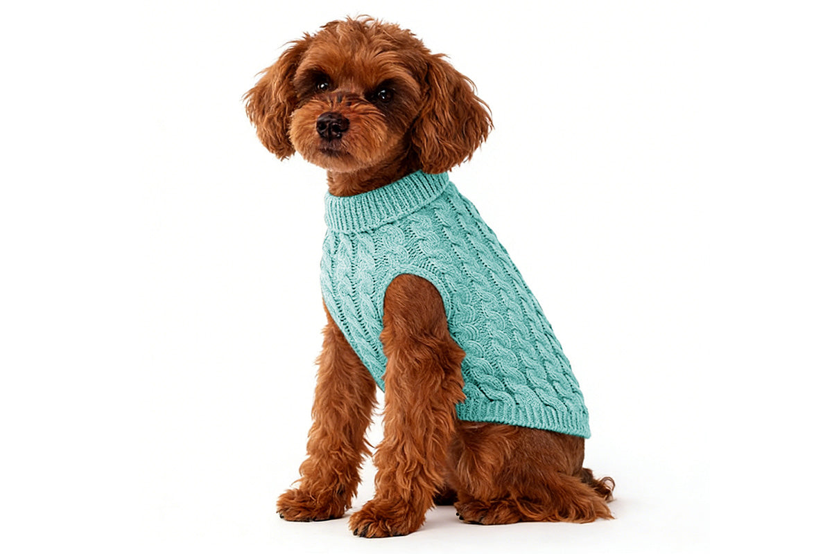Puppy Dog Jumper Winter Warm Knitted Sweater Pet Clothes for Small Dogs Coat-Blue