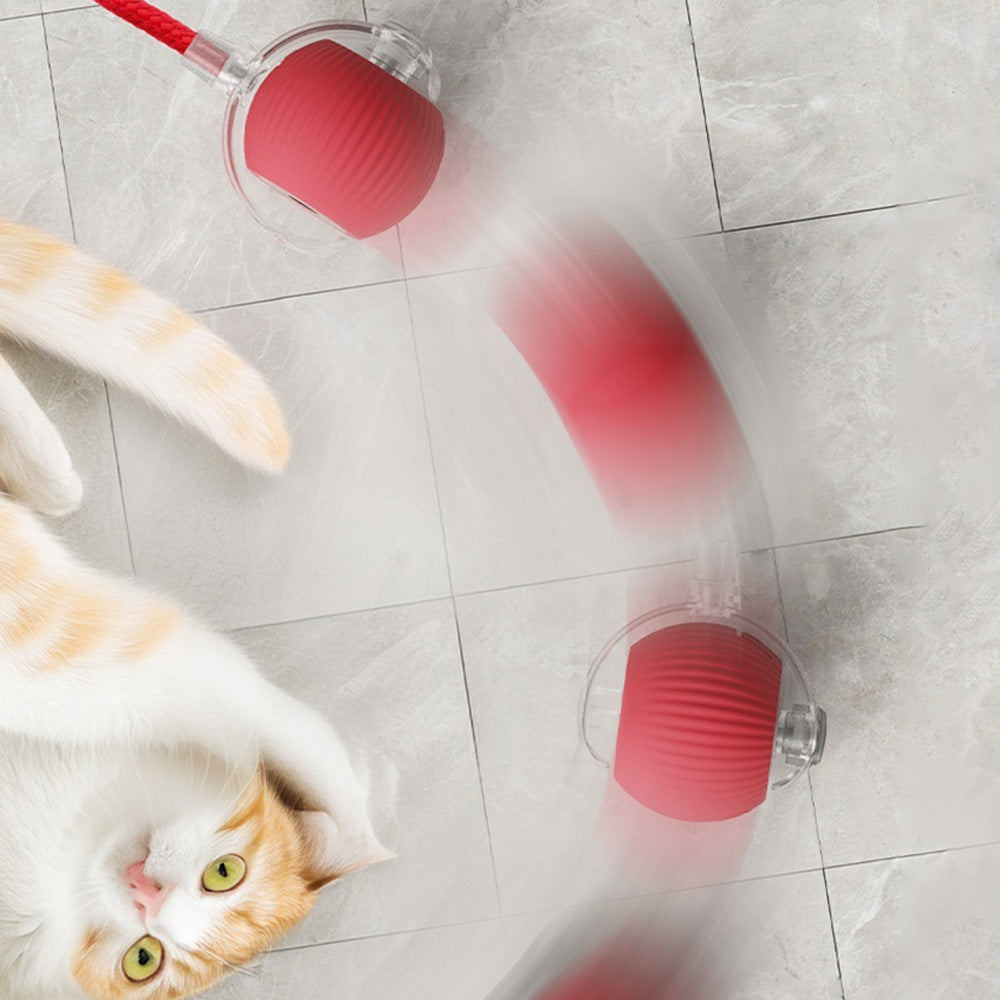 Interactive Cat Rolling Ball Automatic Cat Toy Electric Cat Toy Ball Fast Rolling On Toys