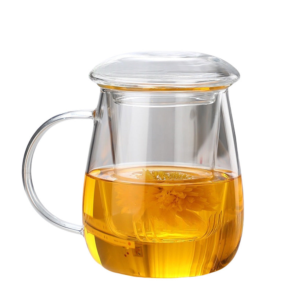 Glass Tea Cup with Infuser and Lid Borosilicate Tea Mug for Loose Leaf Tea