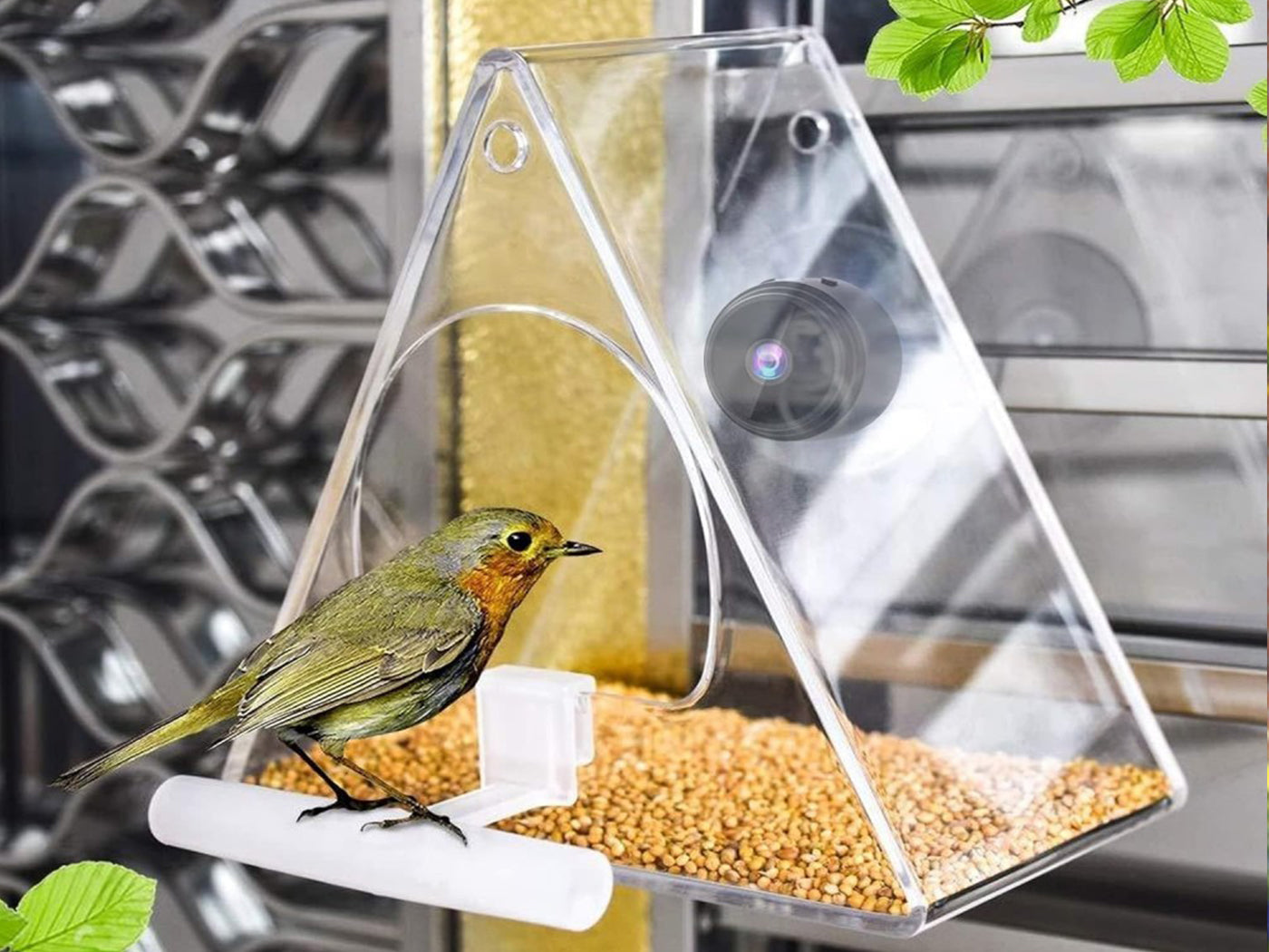 Smart WiFi Bird Feeder with 720P Camera for Real-Time Monitoring