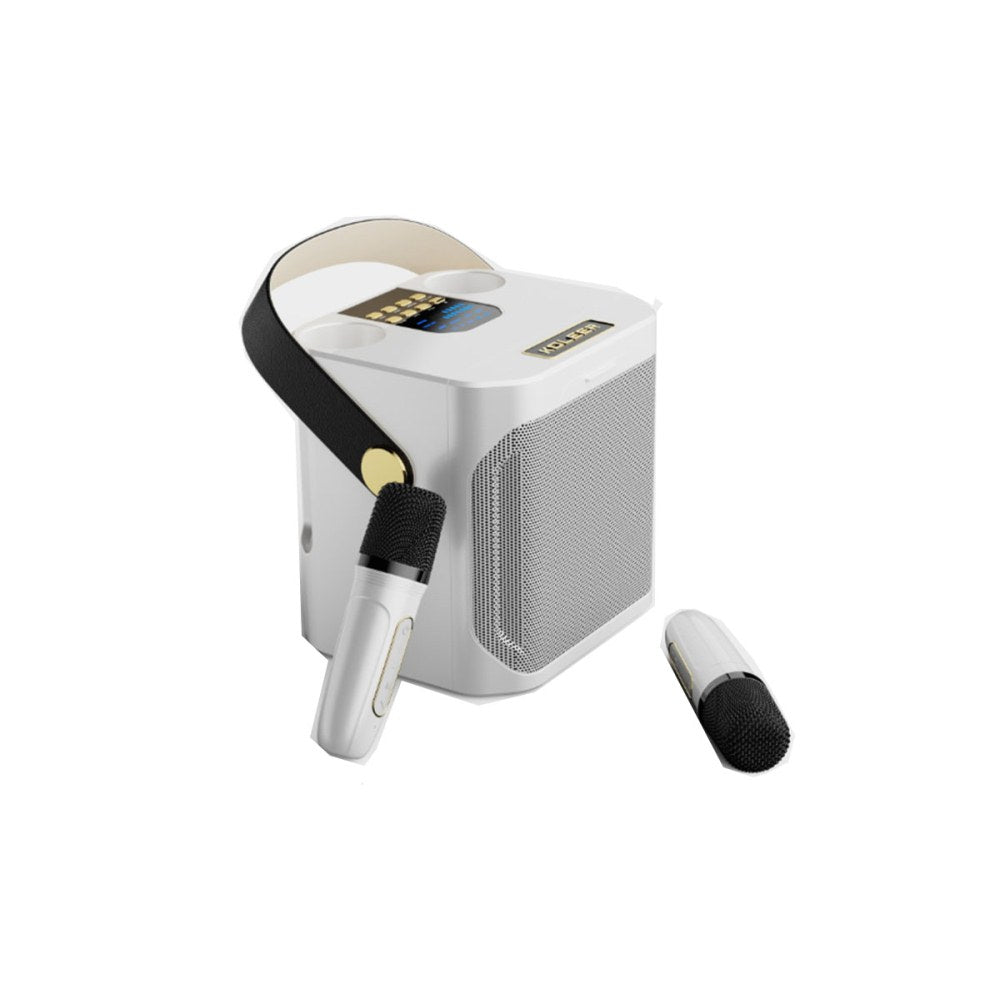 Karaoke Machine with 2 Wireless Mics Bluetooth Portable Karaoke Speaker