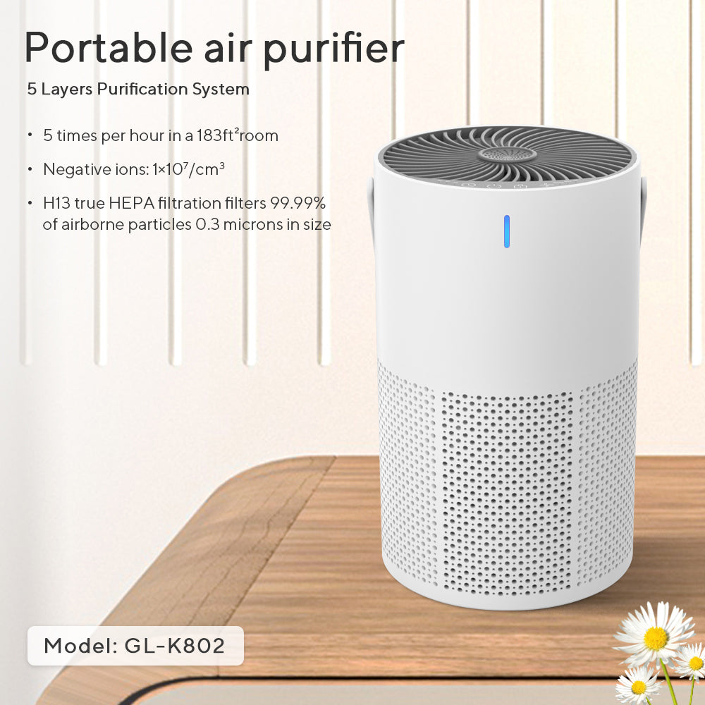 HEPA Air Purifier for Home