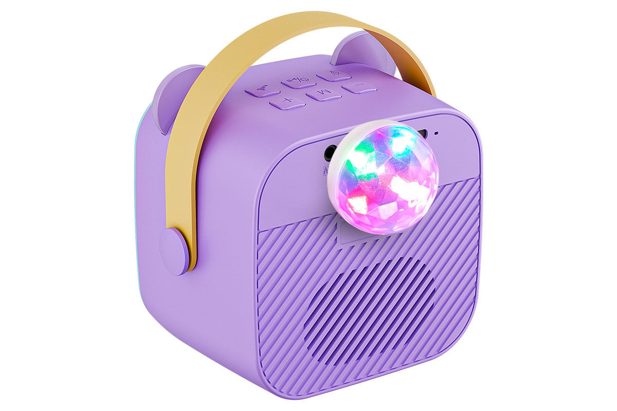 Bluetooth Karaoke Machine with 2 Wireless Microphones Disco Party Lights Voice Changer
