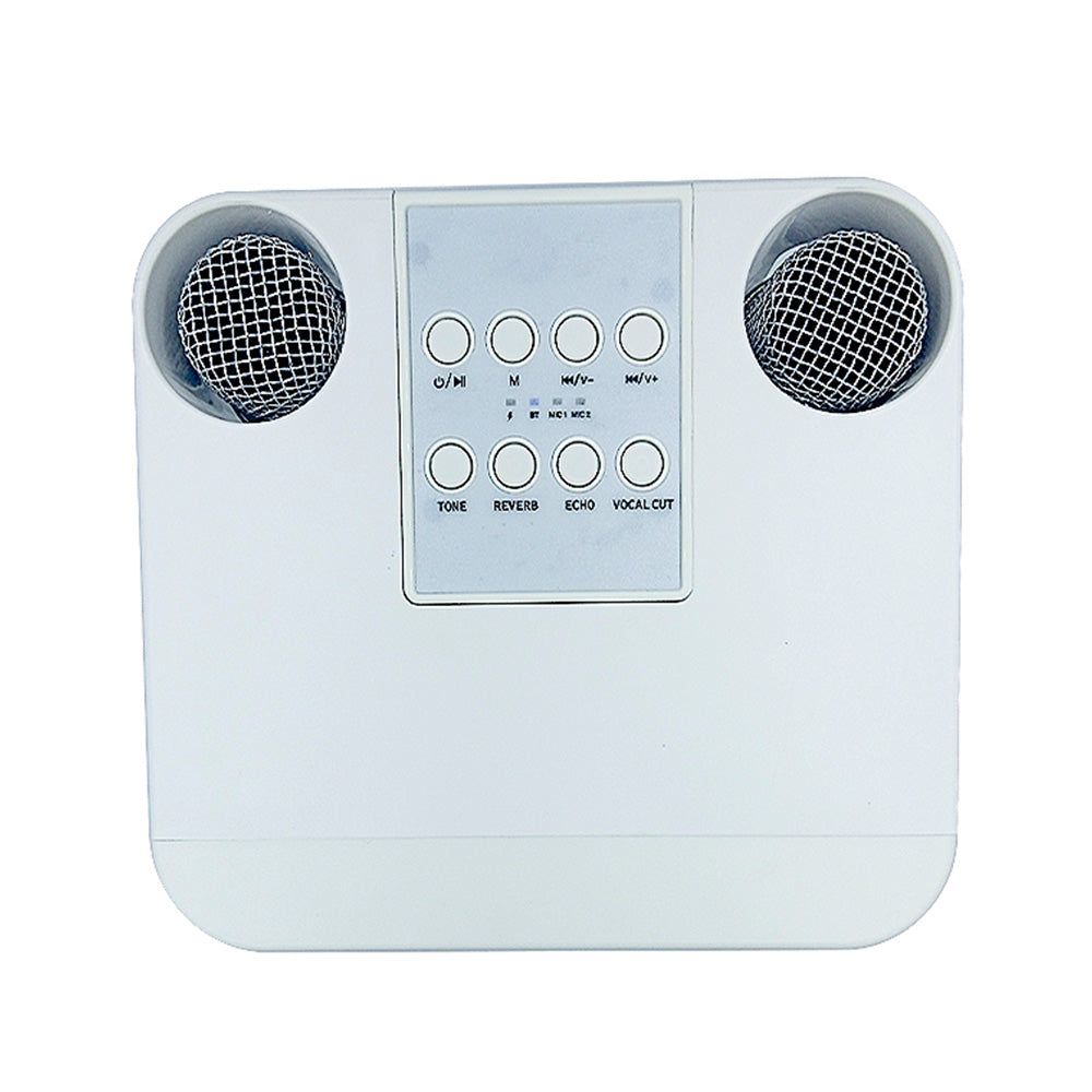 Wireless Bluetooth Speaker KTV Home Karaoke Singing Machine with Dual Microphones