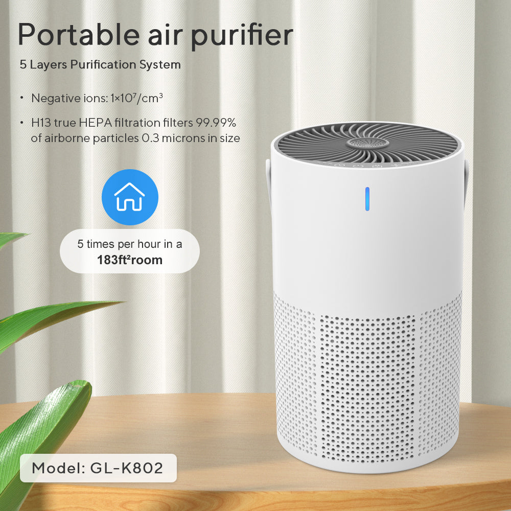 HEPA Air Purifier for Home