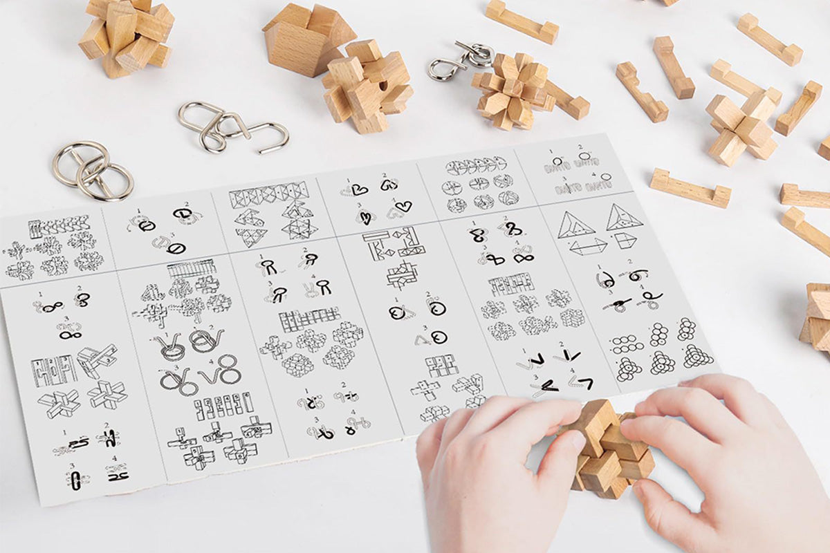 24PCS Brain Teaser Christmas Advent Calendar With 3D Stainless Steel Puzzle And Burr Puzzle