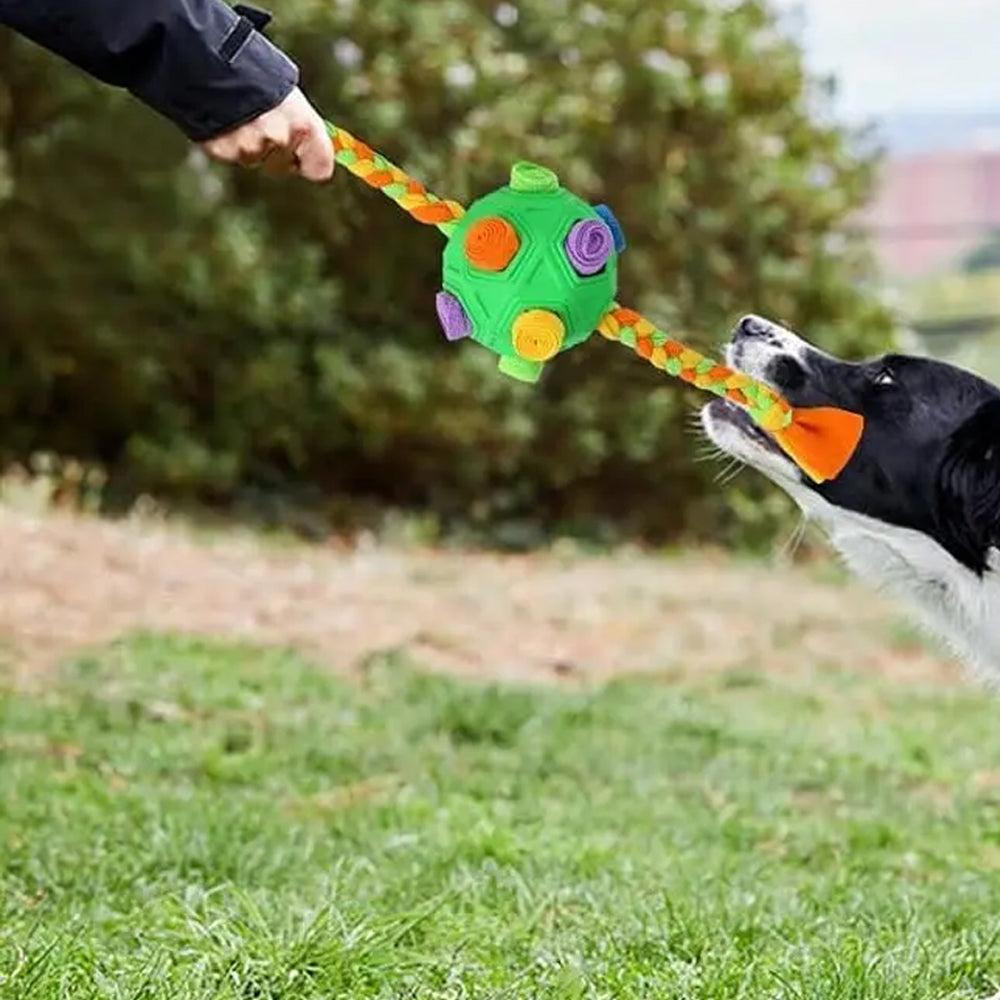 Snuffle Ball with Interactive Rope Interactive Puzzle Toys Dog Chew Toys