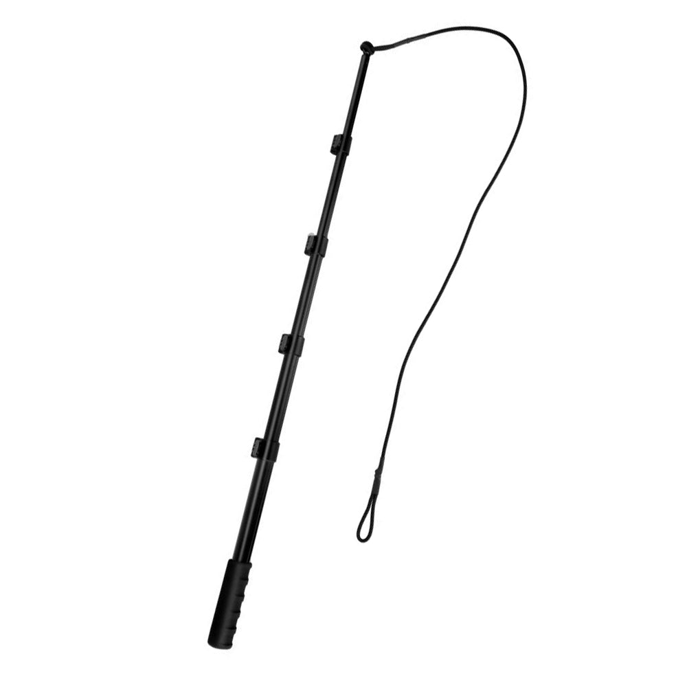 2Pcs Retractable Dog Teaser Wand Pet Interactive Toy Kit