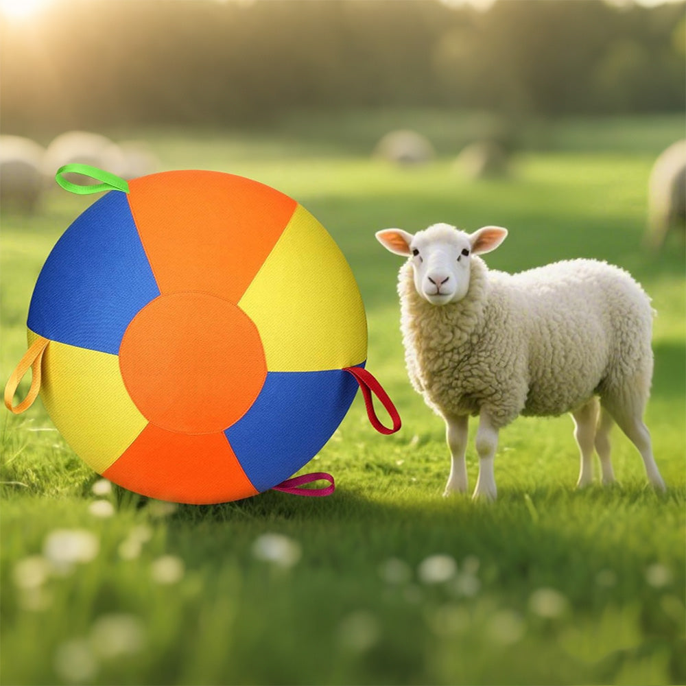 Outdoor Dog Herding Play Ball with Reinforced Oxford Fabric and Slow Deflation-Multicolour