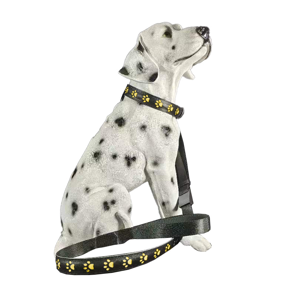LED USB Rechargeable Flashing Pet Dog Collar for Night Security-Dog Collar+Leash