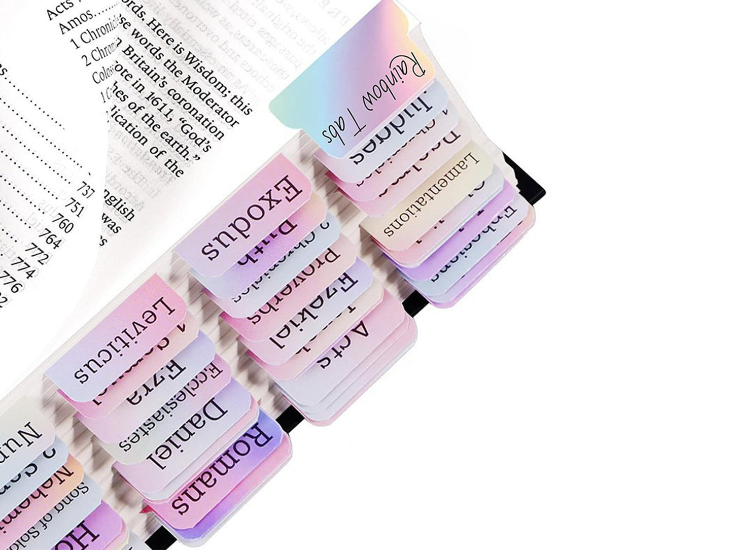 3 Set of Laminated Bible Tabs Easy to Read and Apply Bible Tabs Bible Index Tabs