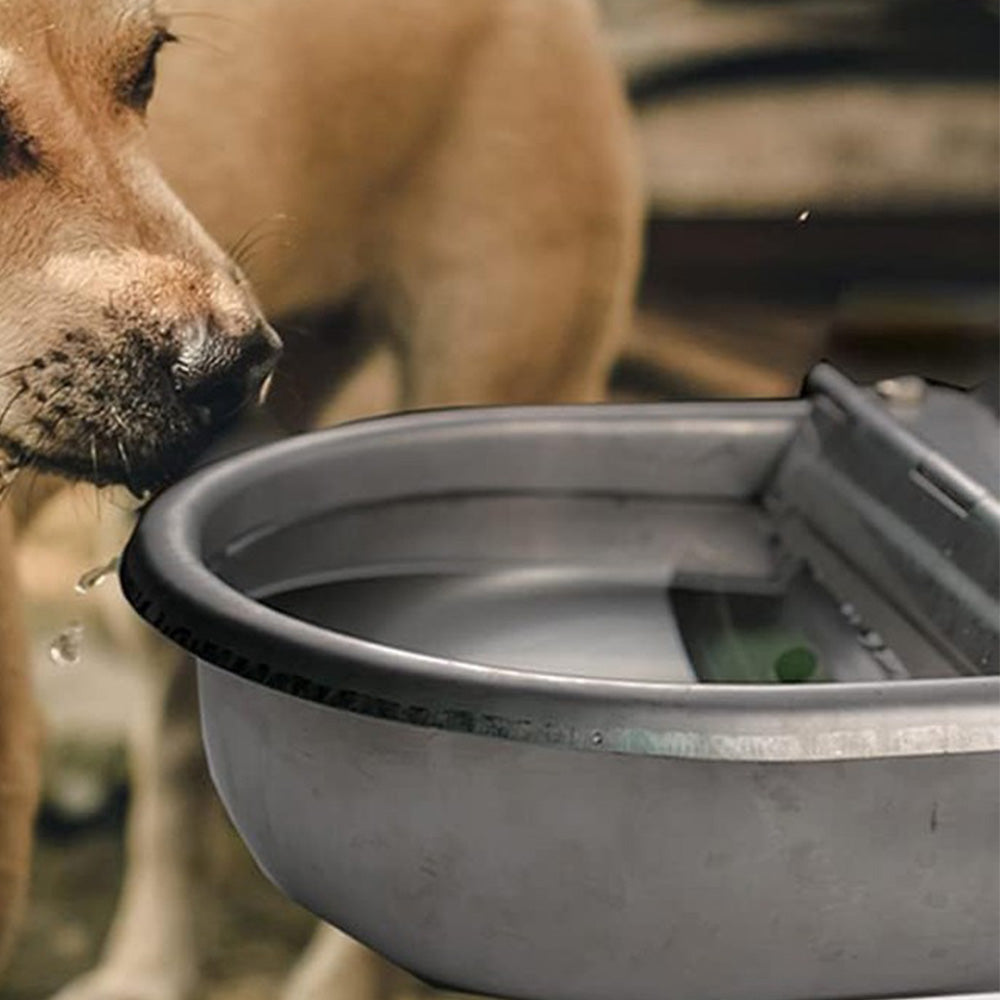 4L 304 Stainless Steel Automatic Cattle Water Bowl with Drain Hole