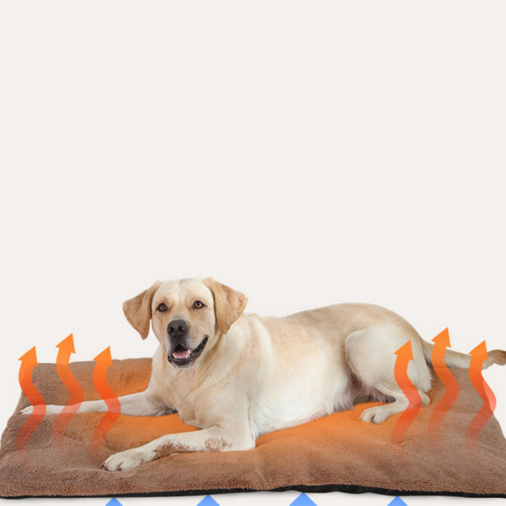 Self-Heating Pet Blanket