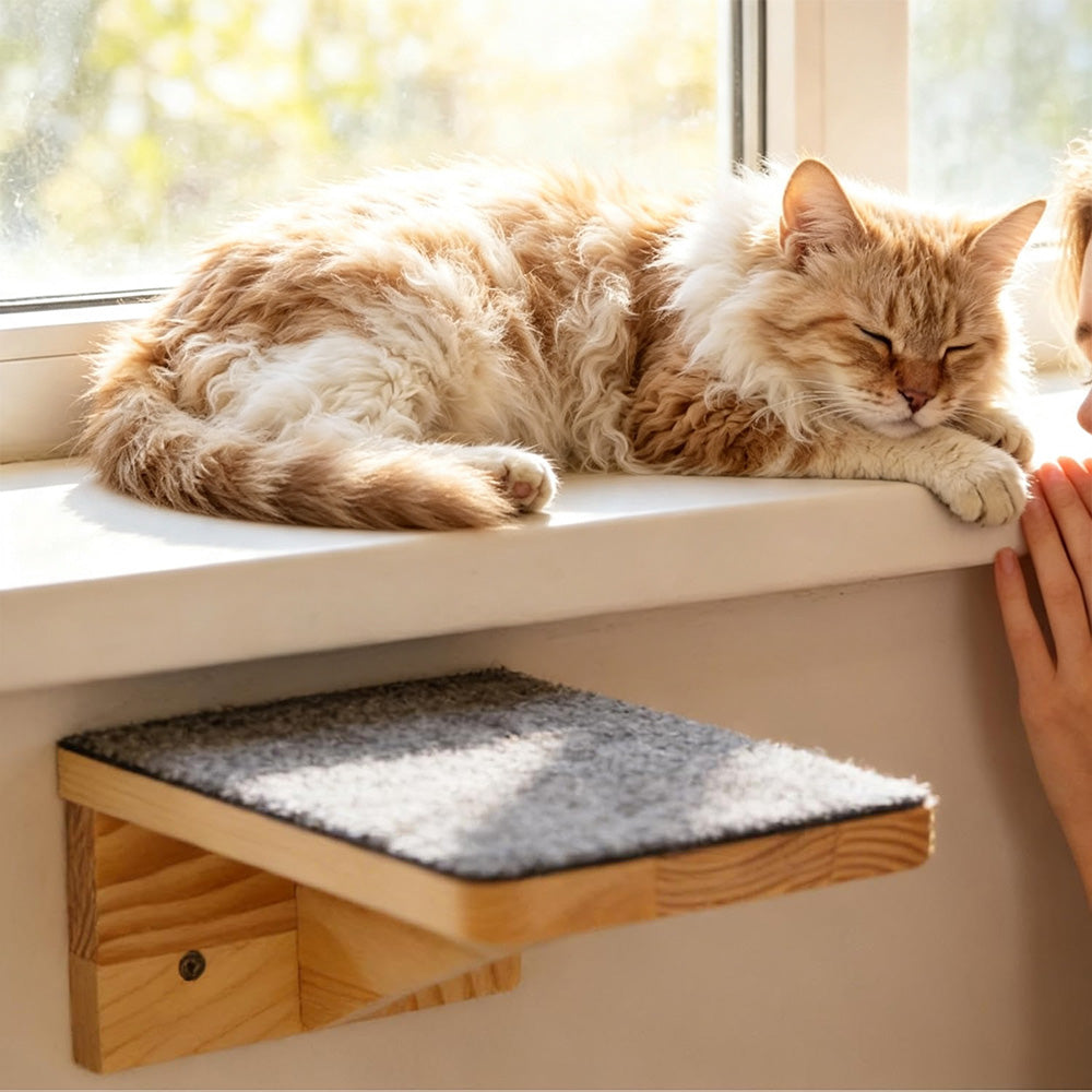 Wall Mounted Cat Climbing Shelf Cat Ladder Cat Wall Furniture Steps