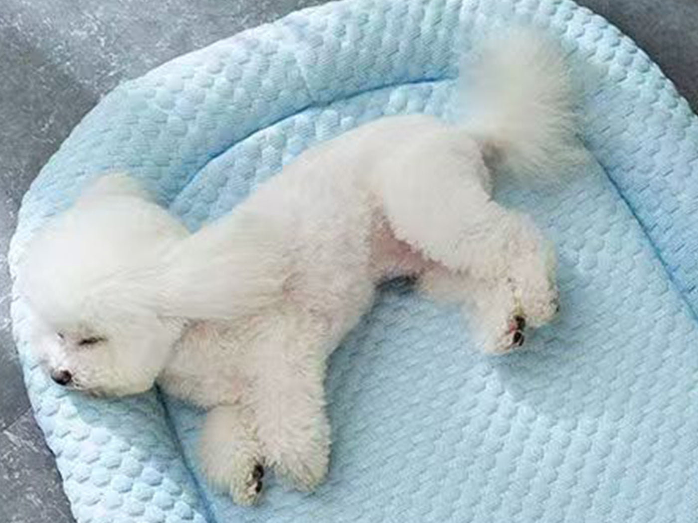 Pets Bolster Cooling Dog Bed Summer Cat Bed Pad Pet Mat Pet Sleeping Pad