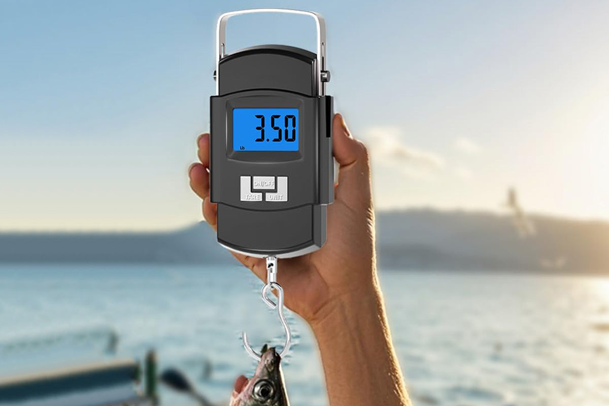 Portable LCD Digital Fishing Scale With Handle Hanging Weighing Scale Fishing Gear