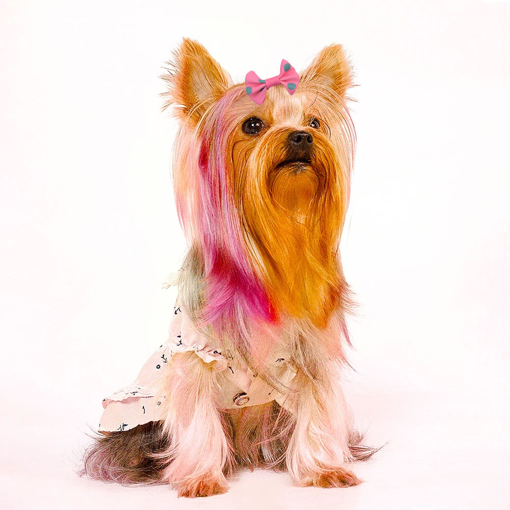 100Pcs Pet Small Dog Hair Bows Rubber Bands Puppy Cat Grooming Accessory