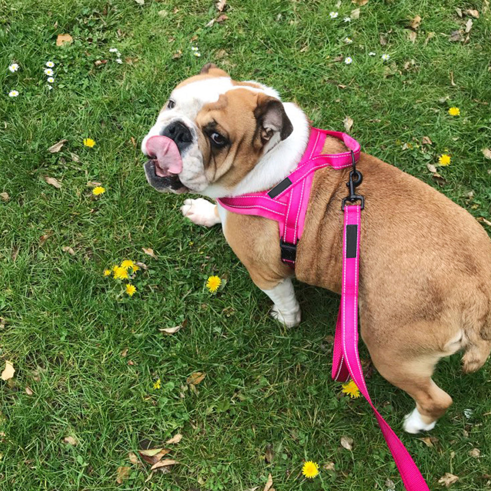 No Pull Front Clip Dog Vest Harness and Leash Set