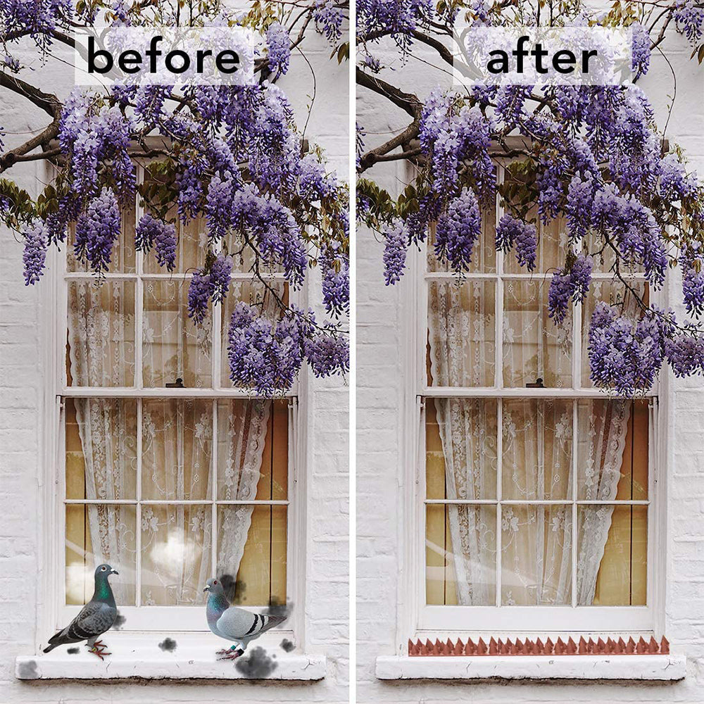 10Pcs Bird Deterrent Spikes Anti Cat Climb Wall Fence Spikes Bird Repellent