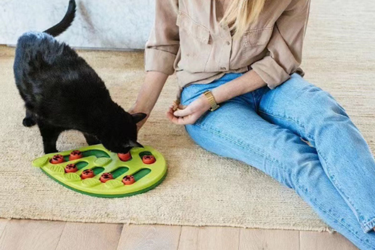 Interactive Cat Puzzle Feeder Treat Dispenser