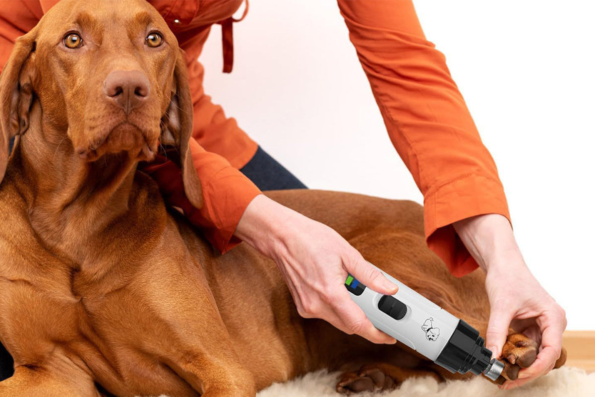 Electric Pet Nail Grinder 2-Speed Toenail Grooming Grinder