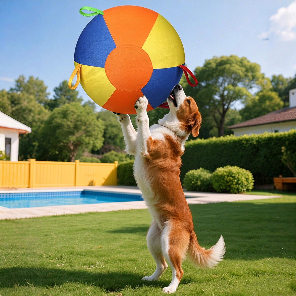Outdoor Dog Herding Play Ball with Reinforced Oxford Fabric and Slow Deflation-Multicolour