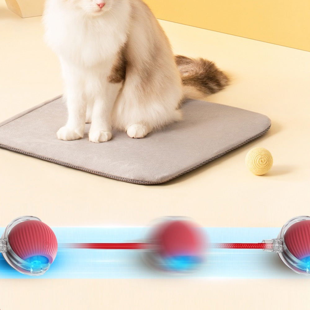 Interactive Cat Rolling Ball Automatic Cat Toy Electric Cat Toy Ball Fast Rolling On Toys
