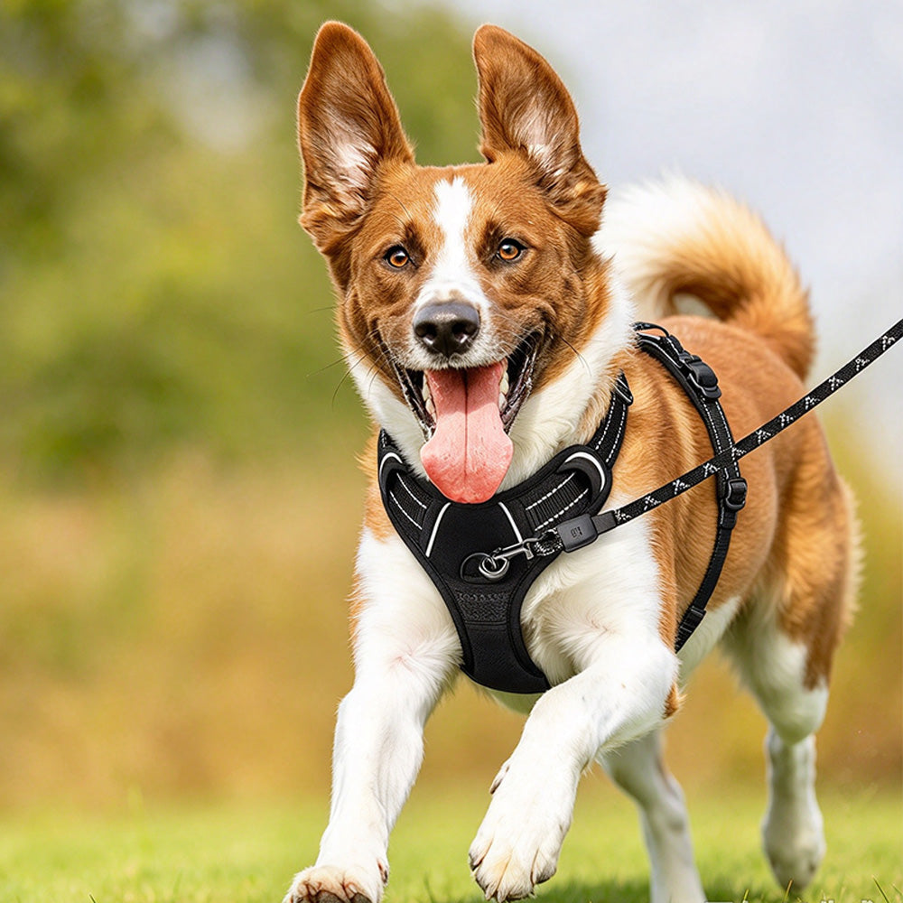 Adjustable Reflective No Pull Vest Dog Harness for Medium Large Dogs
