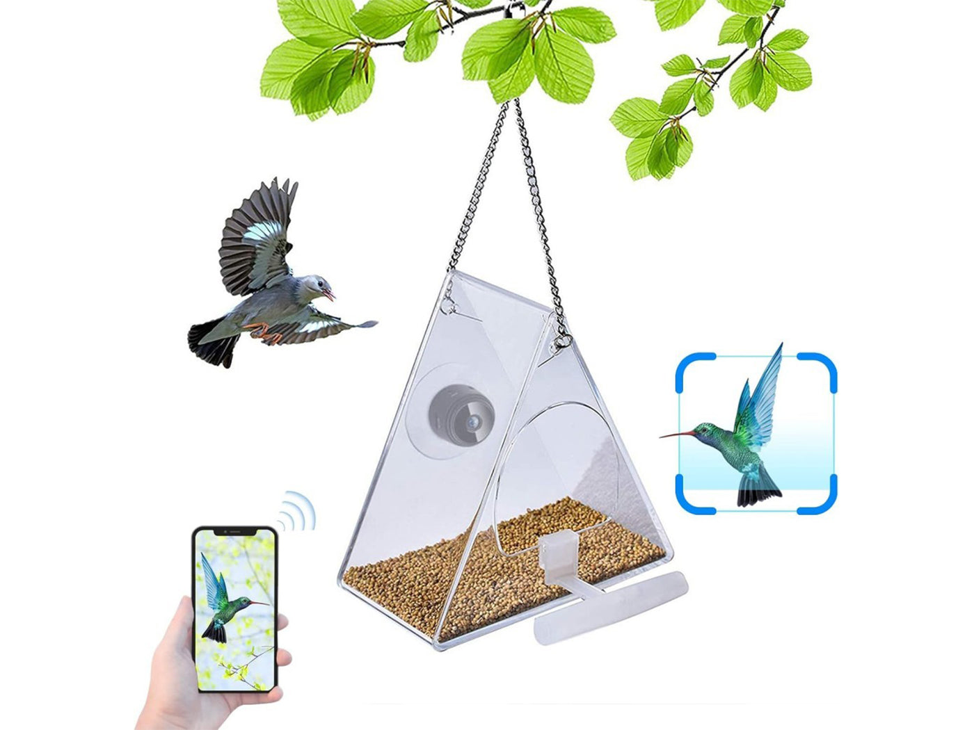 Smart WiFi Bird Feeder with 720P Camera for Real-Time Monitoring