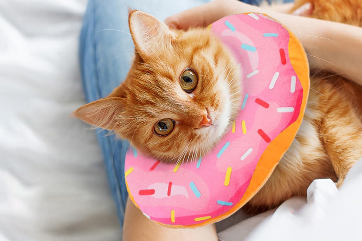 Cat Cone Soft Collar Adjustable Kitten Recovery Cones Cat Donut Collar-Pink