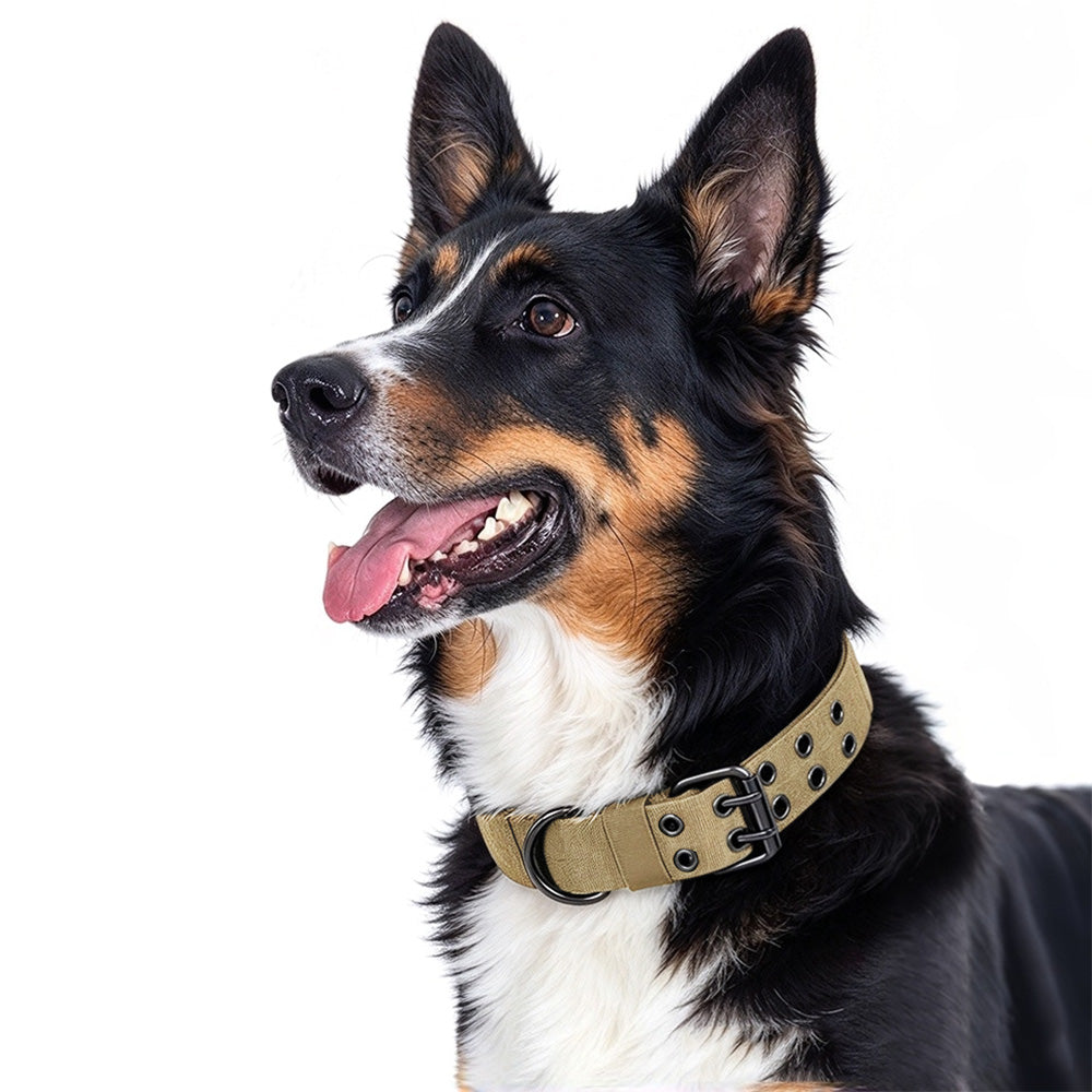 Adjustable Padded Nylon Dog Collar and Leash Set for Large Dogs-Khaki