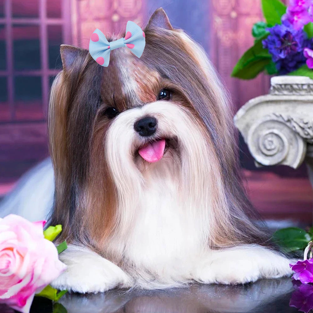 100Pcs Pet Small Dog Hair Bows Rubber Bands Puppy Cat Grooming Accessory