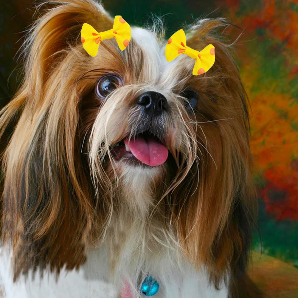 100Pcs Pet Small Dog Hair Bows Rubber Bands Puppy Cat Grooming Accessory
