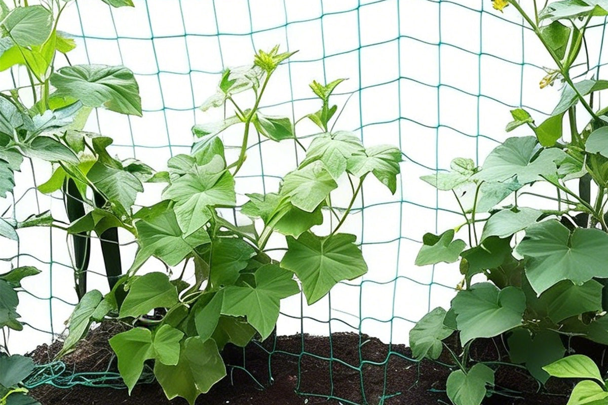 Garden Plant Climbing Net Vegetable Flower Vine Trellis Support Fence