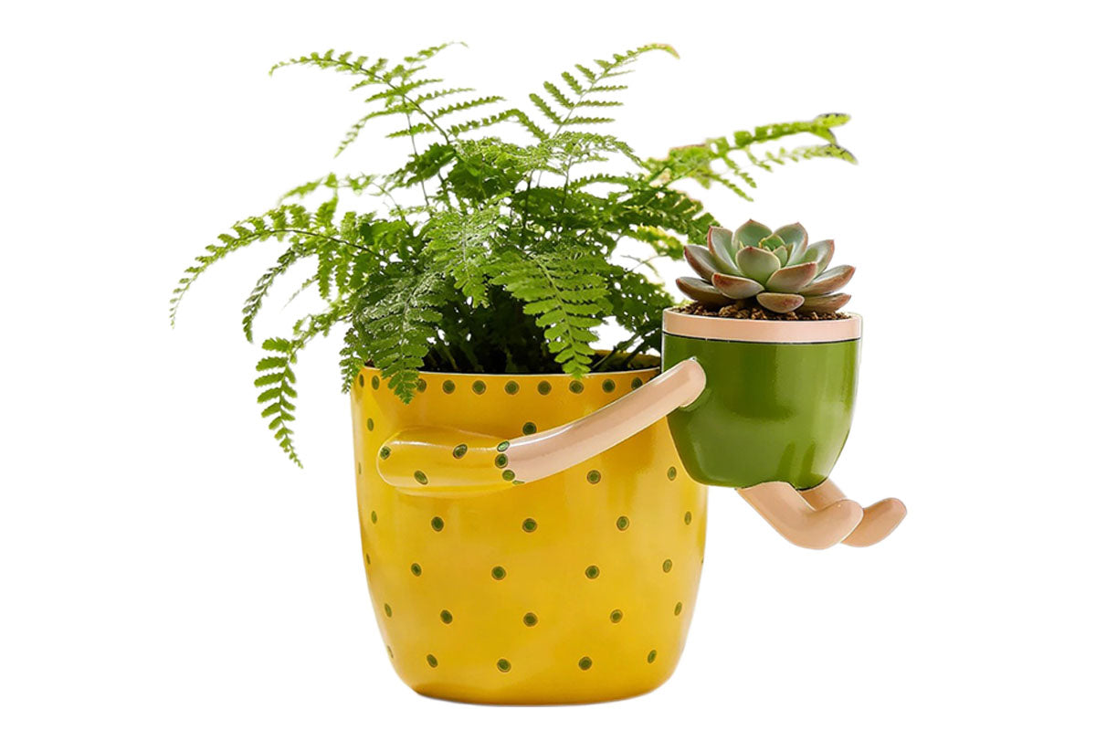 2-In-1 Resin Flower Pot with Drainage Hole